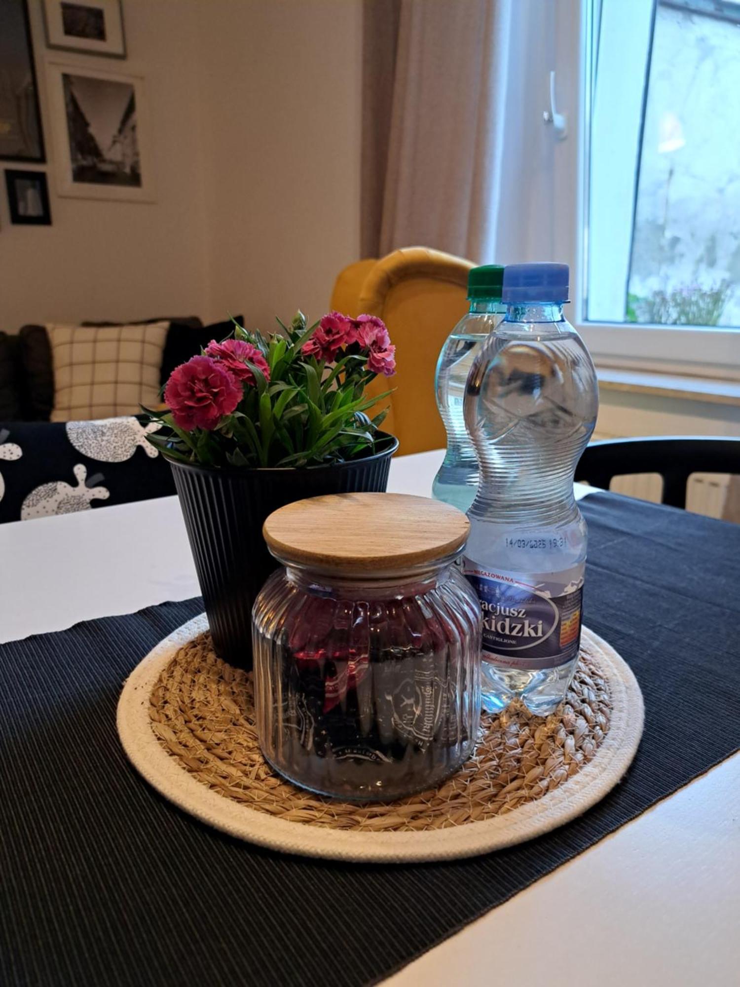 Appartement Gryfny Familok à Katowice Extérieur photo